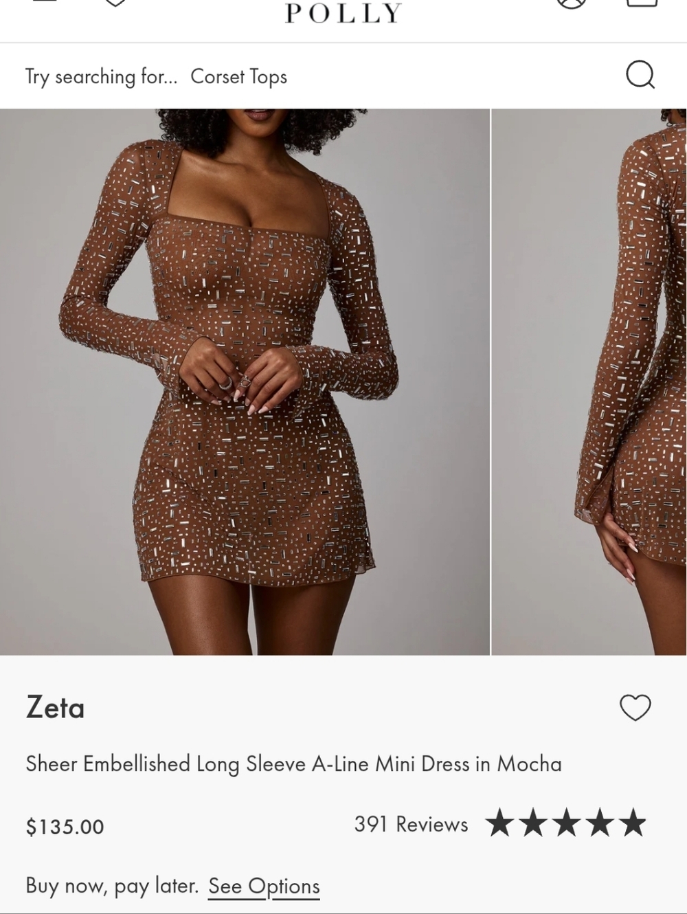 Sheer Embellished Long Sleeve A-Line Mini Dress in Mocha - Picture 4 of 4